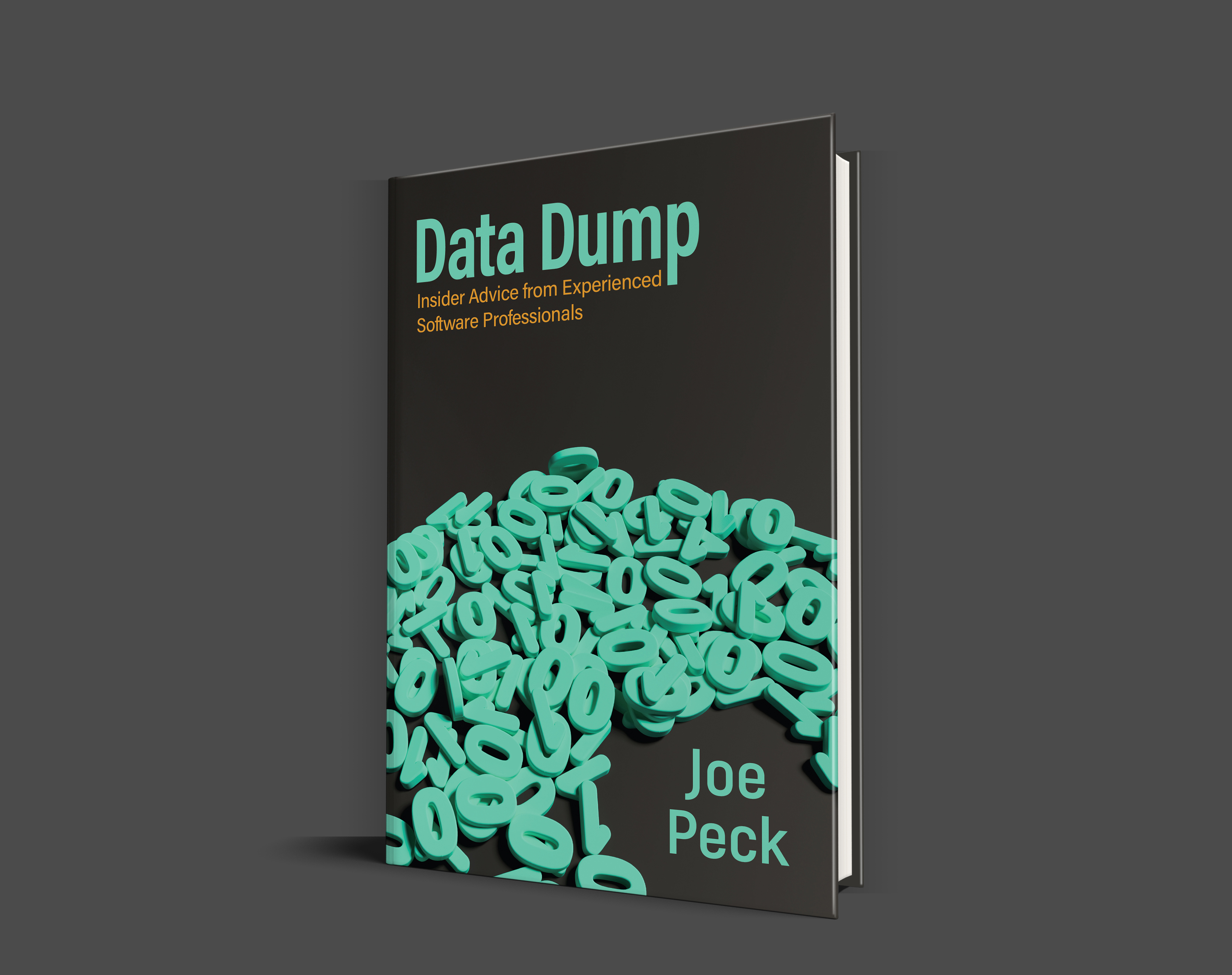 3D Data Dump book cover